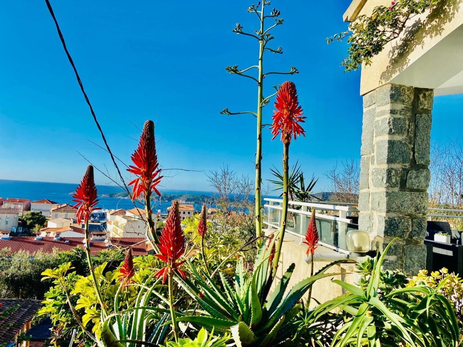Villa Montalbo Vue Mer De 2 A 10 Personnes 卡尔热斯 外观 照片